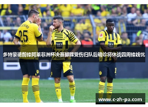 多特蒙德前锋阿莱非洲杯决赛脚踝受伤归队后确诊将休战四周锋线忧