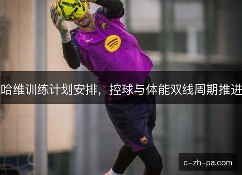 哈维训练计划安排，控球与体能双线周期推进